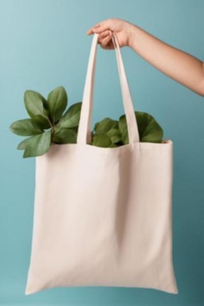 Canvas Tote Example