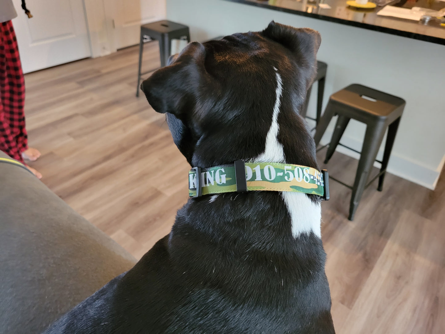 Pet Collar